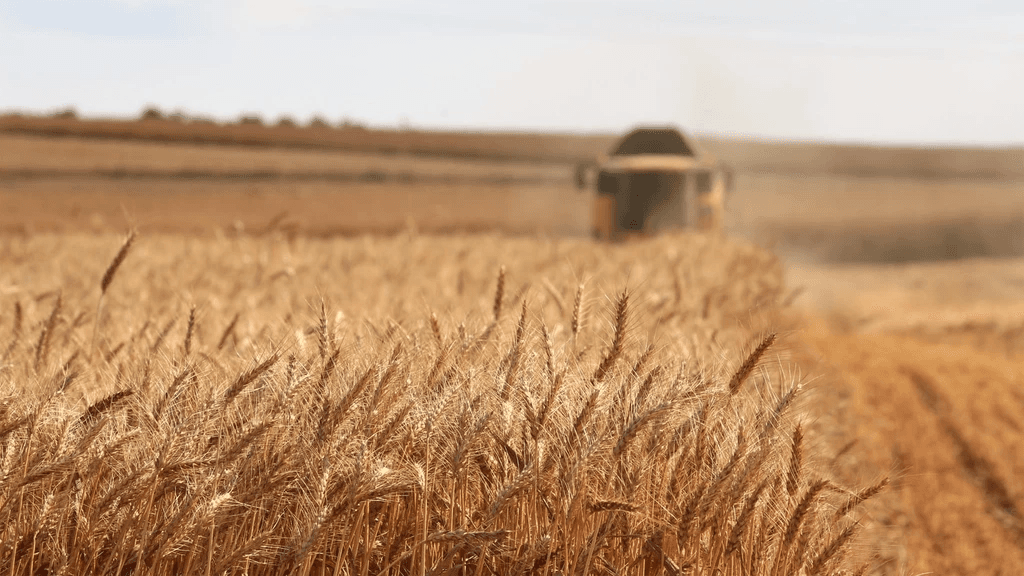 I've lost $5000 over the last two weeks in decentralized finance farming yield. Here's my story.